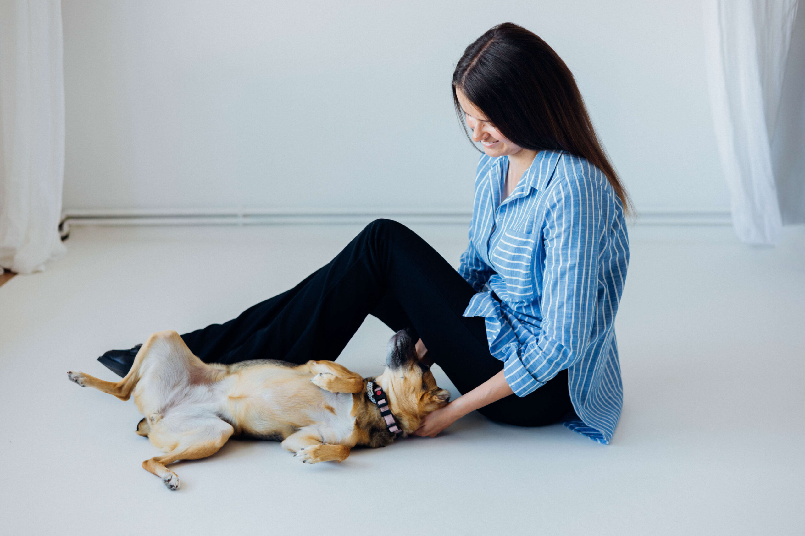 You are currently viewing Odpoczynek oraz sen – jak bardzo istotny jest w życiu psa. Jak o niego zadbać?